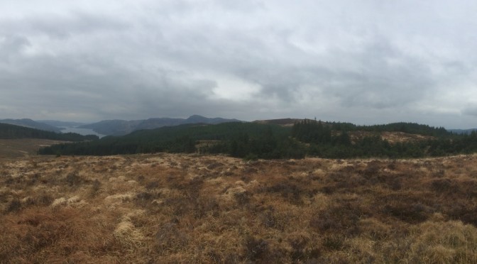 Panorama from Stronafian Community Forest to the blue afforested hills of Bute and Kilfinan