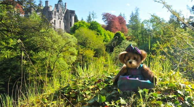 Georgia Bear & Co. visit Dunans Bridge with @thatpowanwoman and the results are Magical!