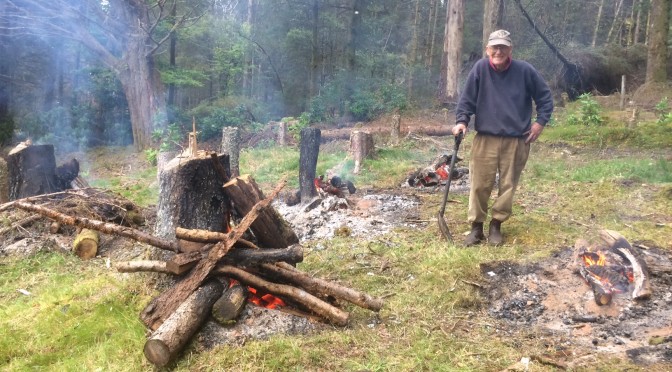 Burning stumps: After a year of seasoning the remains of the larches, we decided it was time to clear them …